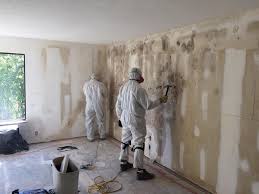 Best Basement Mold Removal  in Dawson, TX